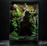 Terrarium gekon 40x40x60