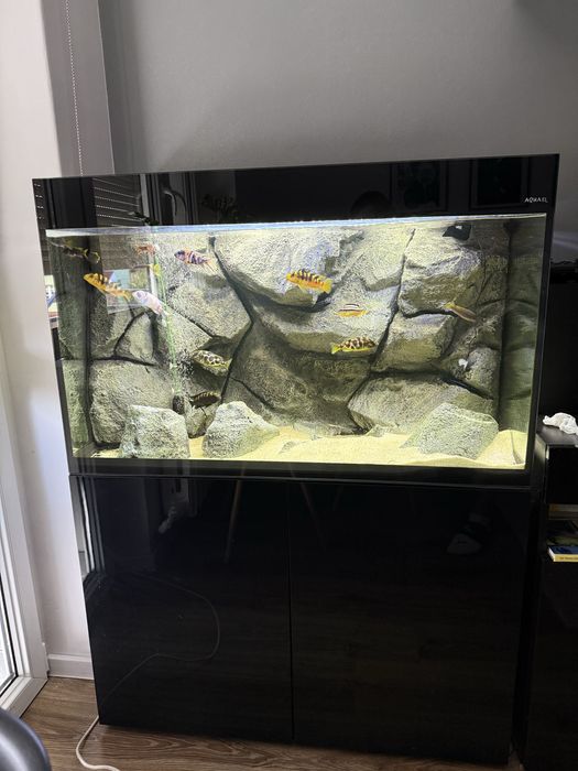 Akwarium Aquael Glossy 215L z szafką i całym wyposażeniem
