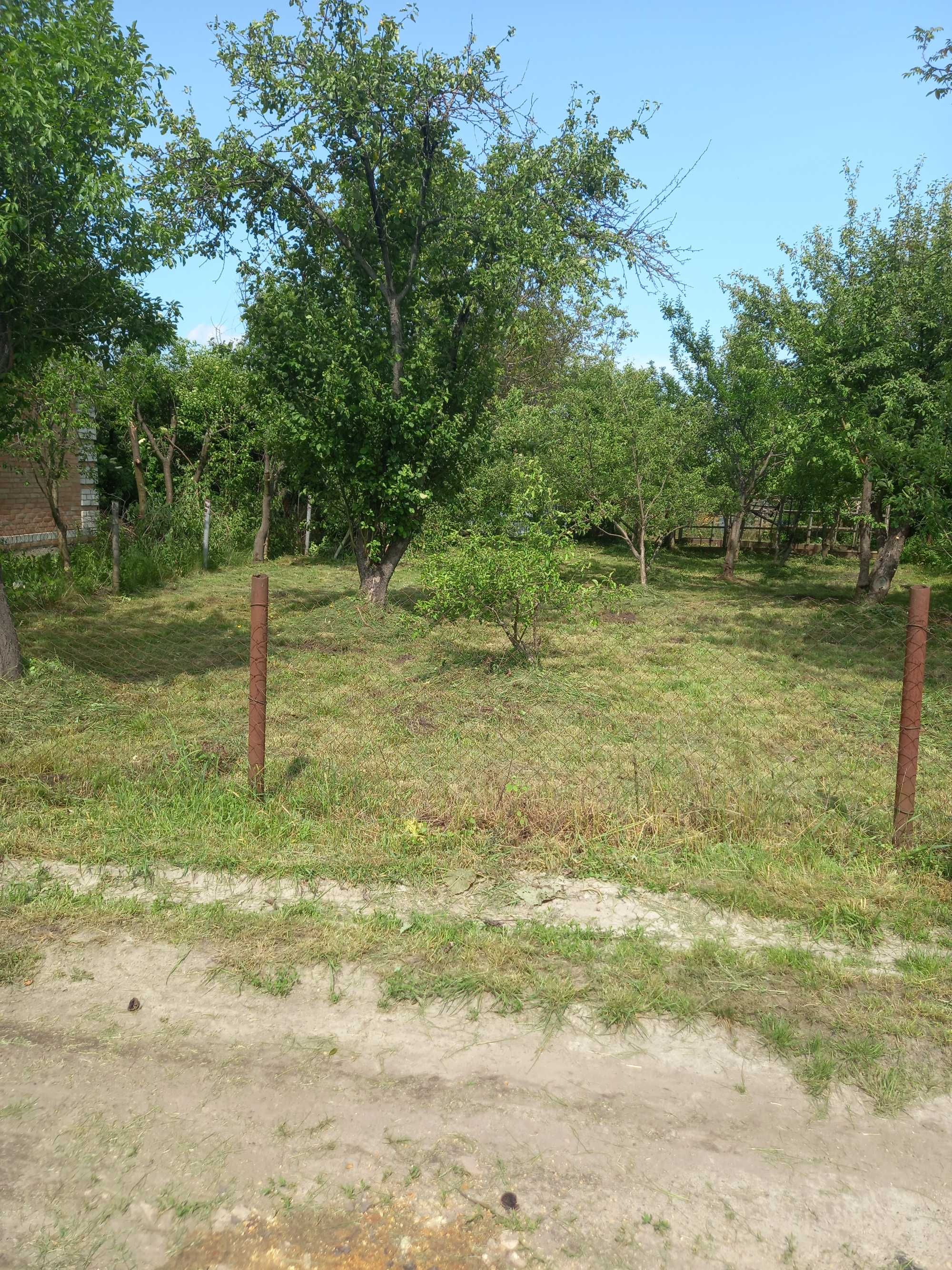 Продам дачну ділянку з невеличкою хатинкою в кооперативі Прогресс.