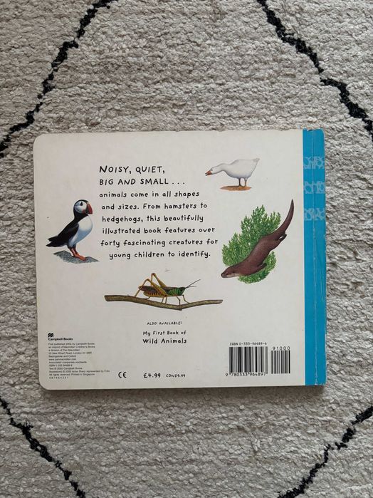 Książki po angielsku dla przedszkolaka