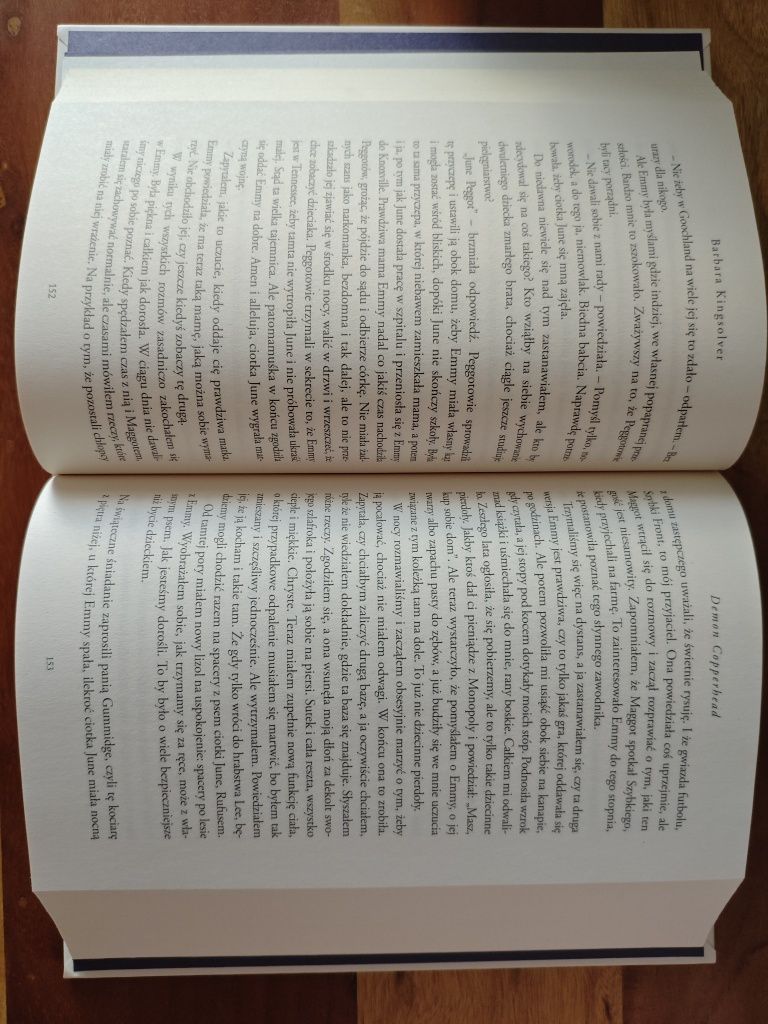 Barbara Kingsolver - Demon Copperhead