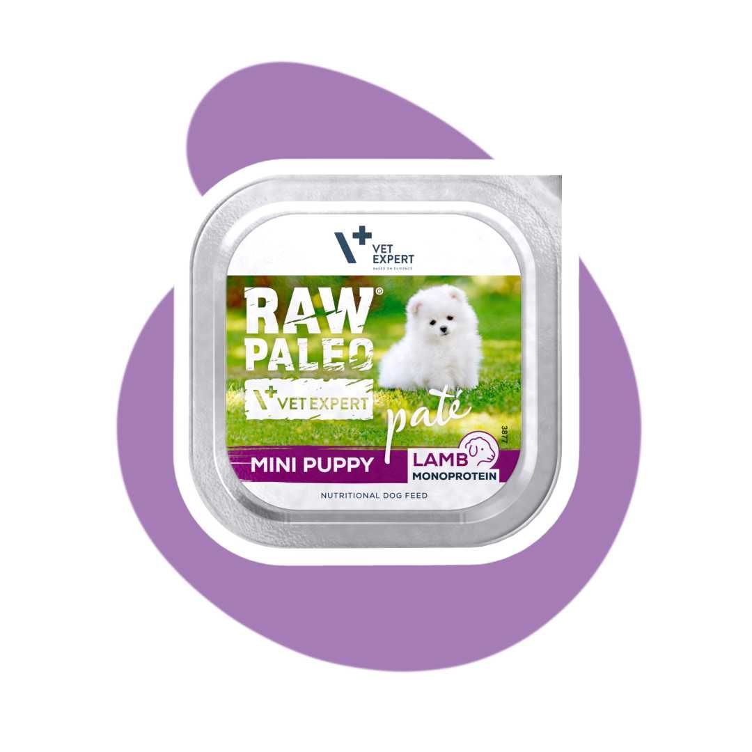 Raw Paleo Pate Mini Puppy Lamb Jagnięcina 5x150g Monoproteinowa