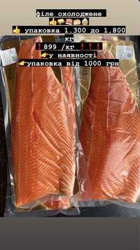 Червона риба красна риба семга форель кіжуч морепродукти