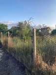 стовпи 225 см стовпчики столбики слупи огорожа забор паркан