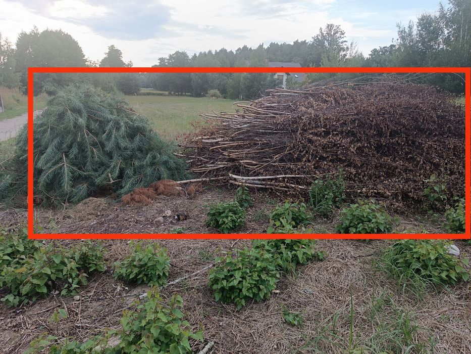 Gałęzie, wycinka, gałęźówka, brzózki, sosna pod rembak na torf