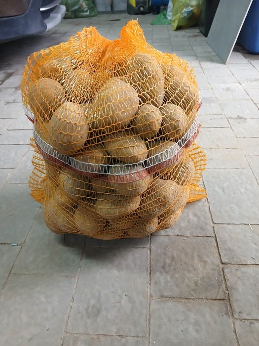 Ziemniaki jadalne duże