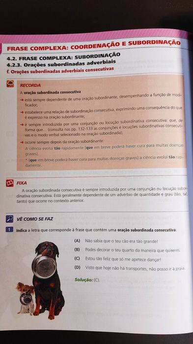 Ótima Gramática para o exame de Português 9°ano