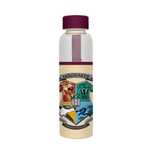 harry potter - butelka na wodę ze szkła 500 ml (hogwarts)