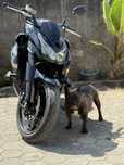 Z1000 Black Edition ABS apenas 22 000km