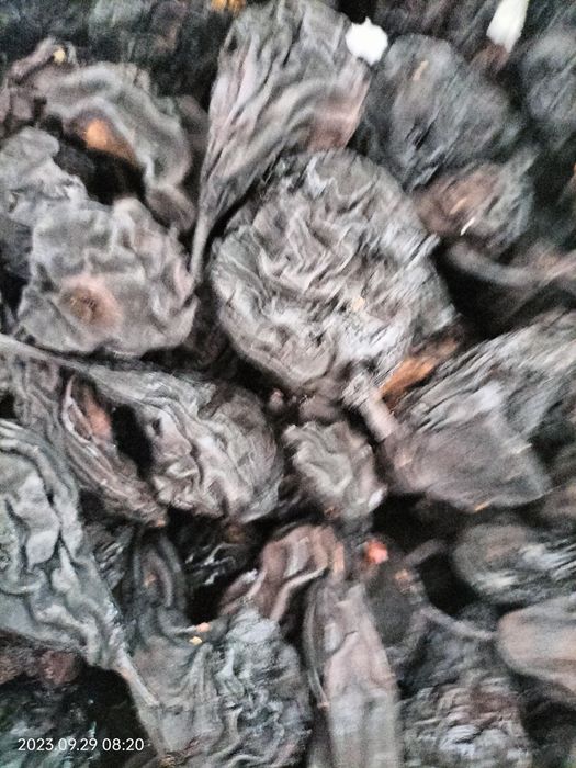 Груша сушена на фруктовых дрова