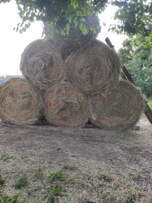 В тюках сіно лугове