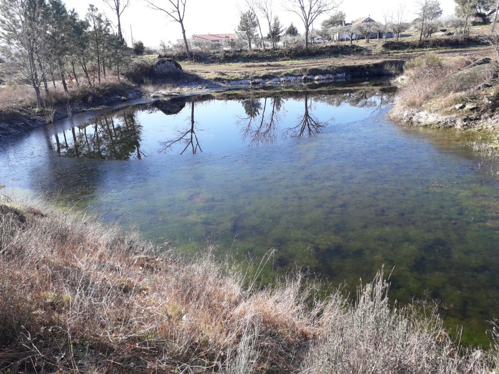Quinta 14,5 hectares