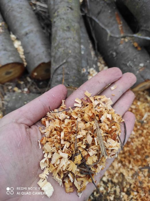 Акамуляторна пила щоточна  18 вольт комплект на фото .