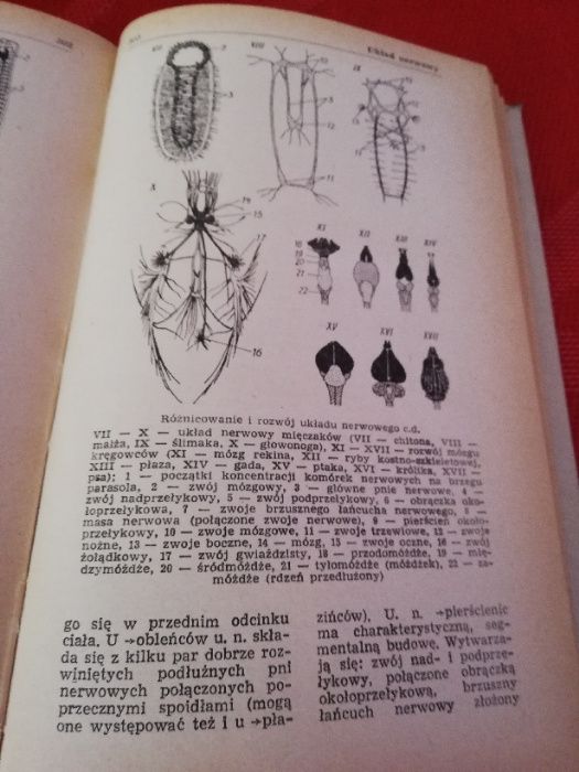 Mały słownik biologiczny - wydanie II rozszerzone
