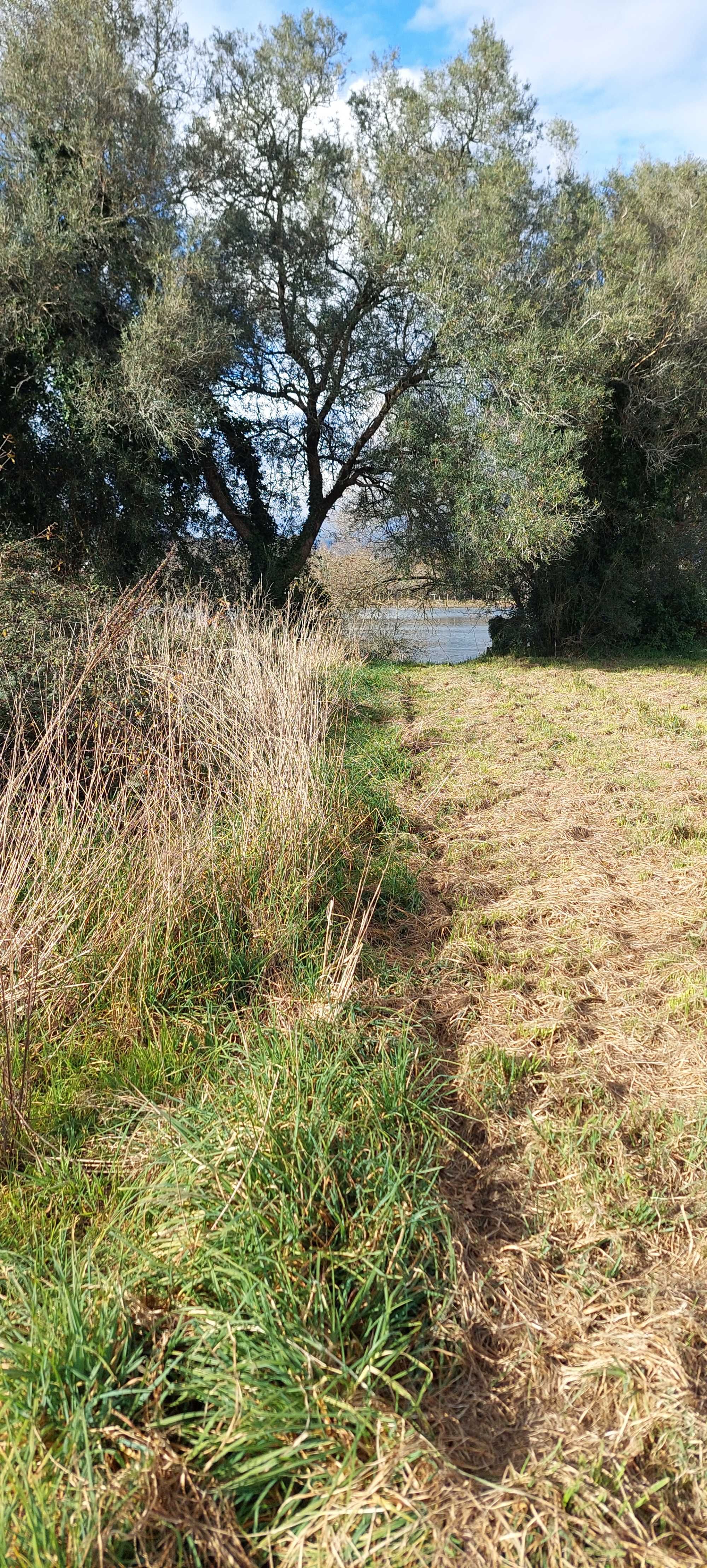 Terreno 960 m² Plano – Subportela, junto ao Rio Lima