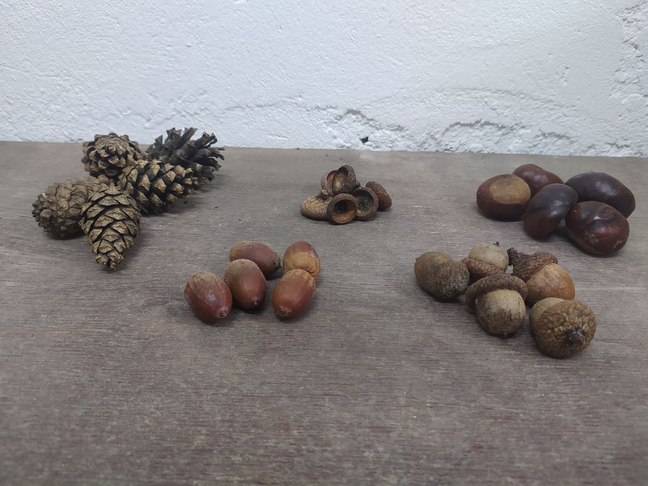 Komplet do dekoracji Terarium