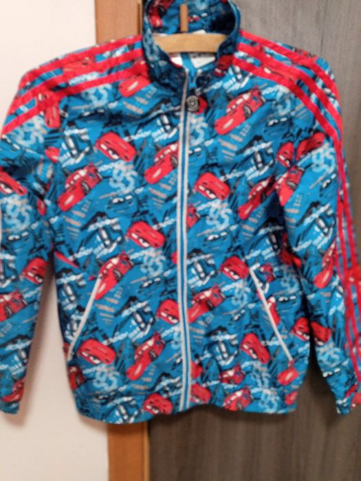 Вітровка хлопчача