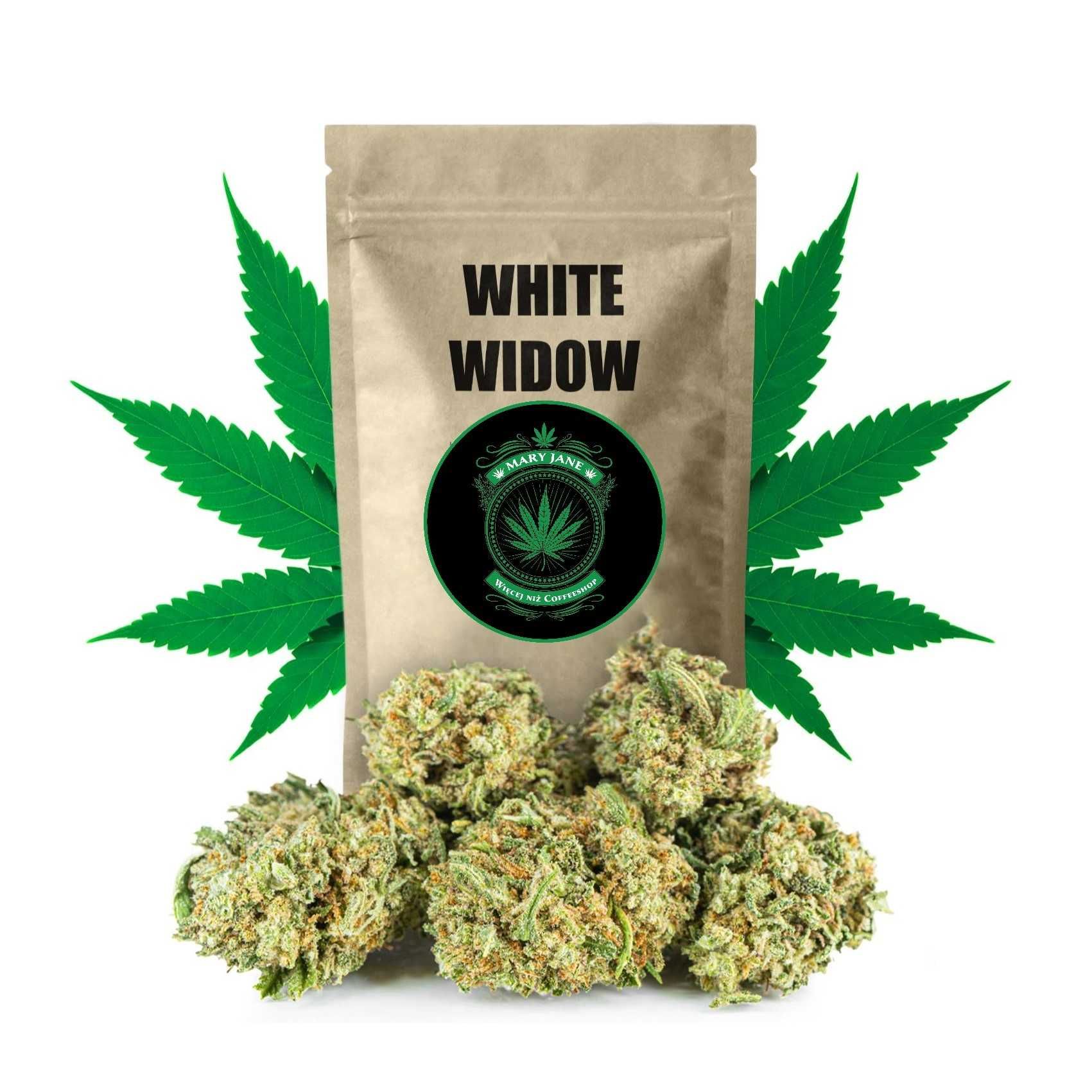 Sklep Mary Jane | White Widow do 39% CBD - Legalny Susz Konopny 1 gram