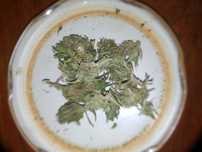 Susz AK 47 THC/CBD 19%