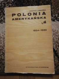 Polonia Amerykańska Brożek