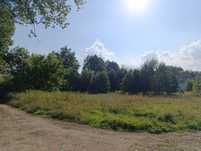 Działki budowlane 203/18 i 203/19 z MPZP Brzezie k. Sulechowa 1130m2