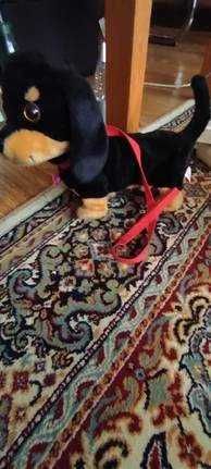 piesek interaktywny animagic