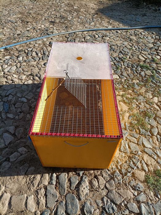 Criadeira Chick Max 100x50 cm (Com acessórios)