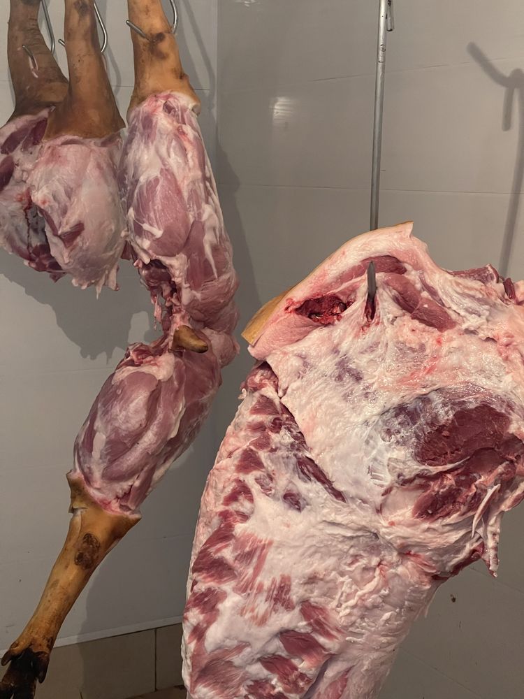 Продажа свинины, мясо тушами, мясо, сало, свежина.