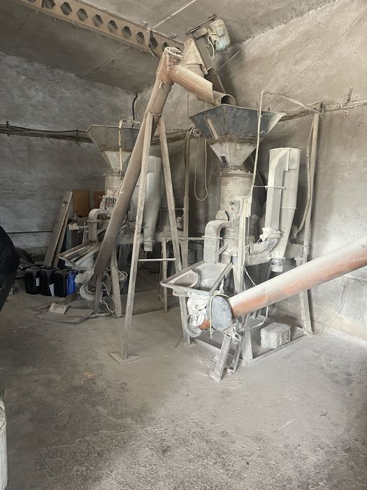 Крупорушка линия