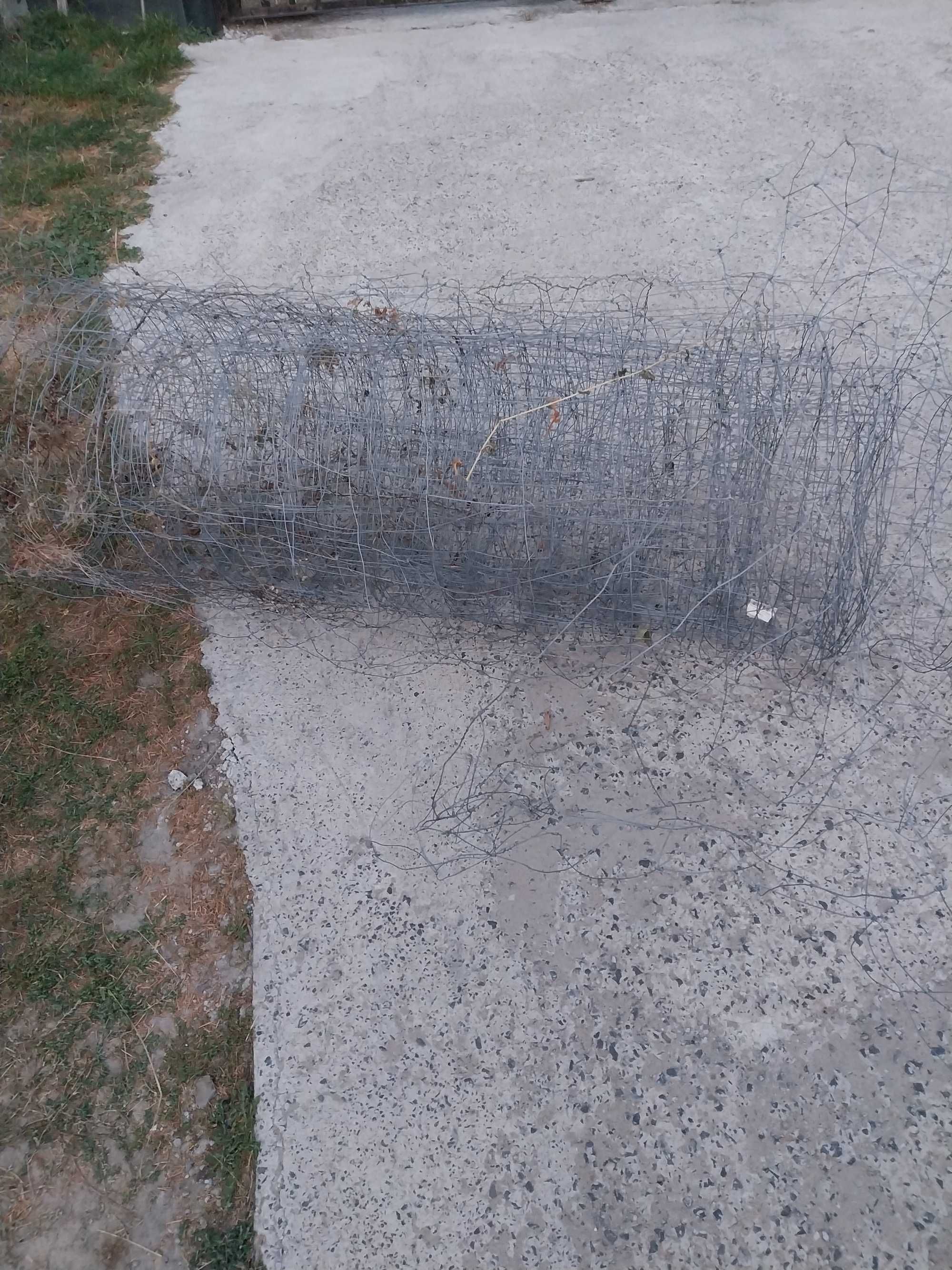 siatka ogrodzeniowa leśna