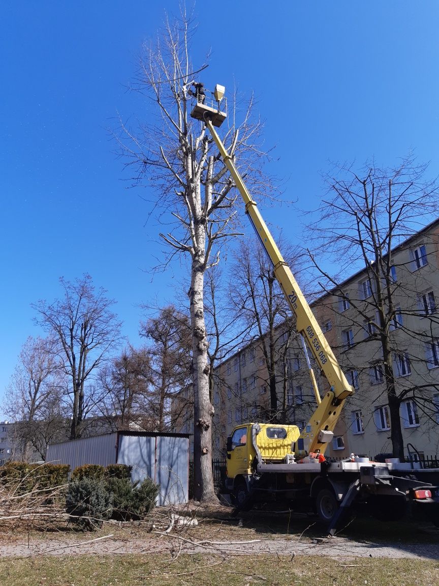 Usługi "ZWYŻKĄ" 20 m podnośnikiem koszowym