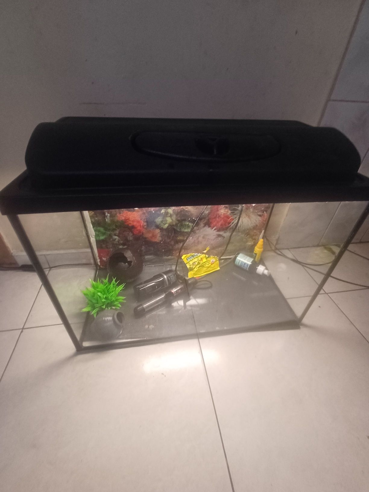 Akwarium z caĺym osprzętem