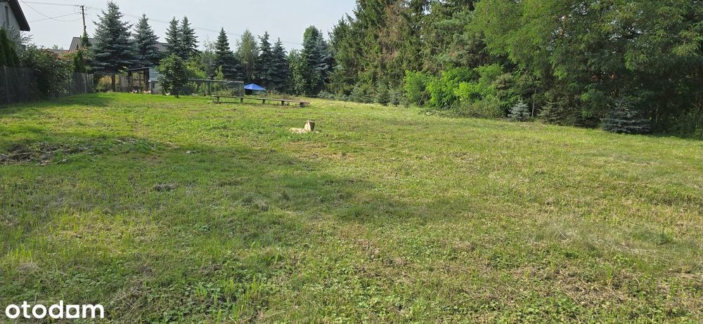 Sprzedam działkę w Bramkach, gmina Błonie, powiat warszawski zachodni.