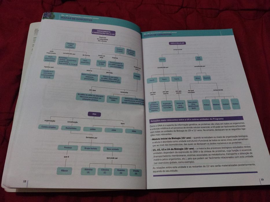 Testes e Exames de Biologia e Geologia 11. Ano
