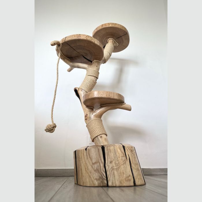 Naturalny Drapak Drapak Z Drewna Lina Sizalowa Slupek Do Drapania