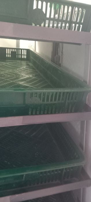 Інкубатор професійний