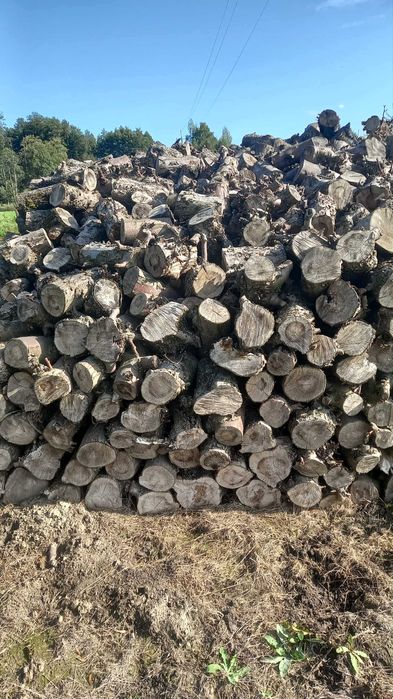 Drewno jabłoniowe na opał