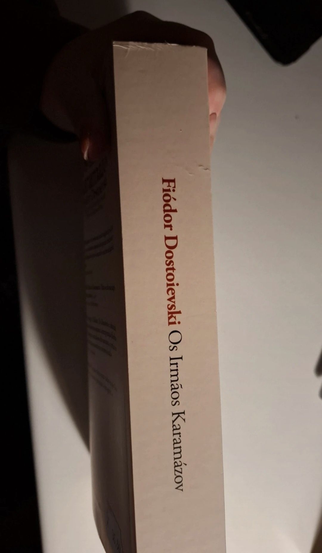 Os irmãos Karamazov, de Fiodor Dostoievski