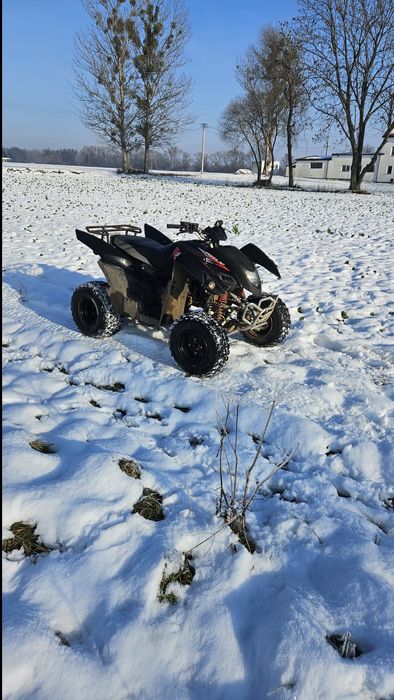 Quad Adly 320 hak 5+wsteczny (honda)
