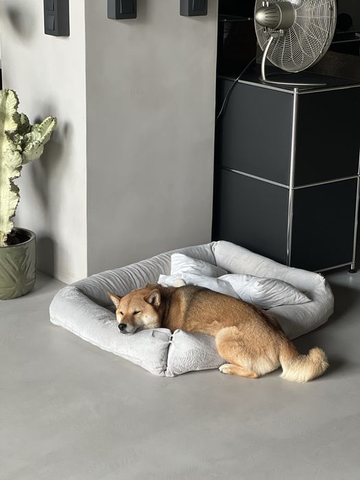 Legowisko dla psa IKEA UTSÄDD – duże, wygodne, łatwe w czyszczeniu