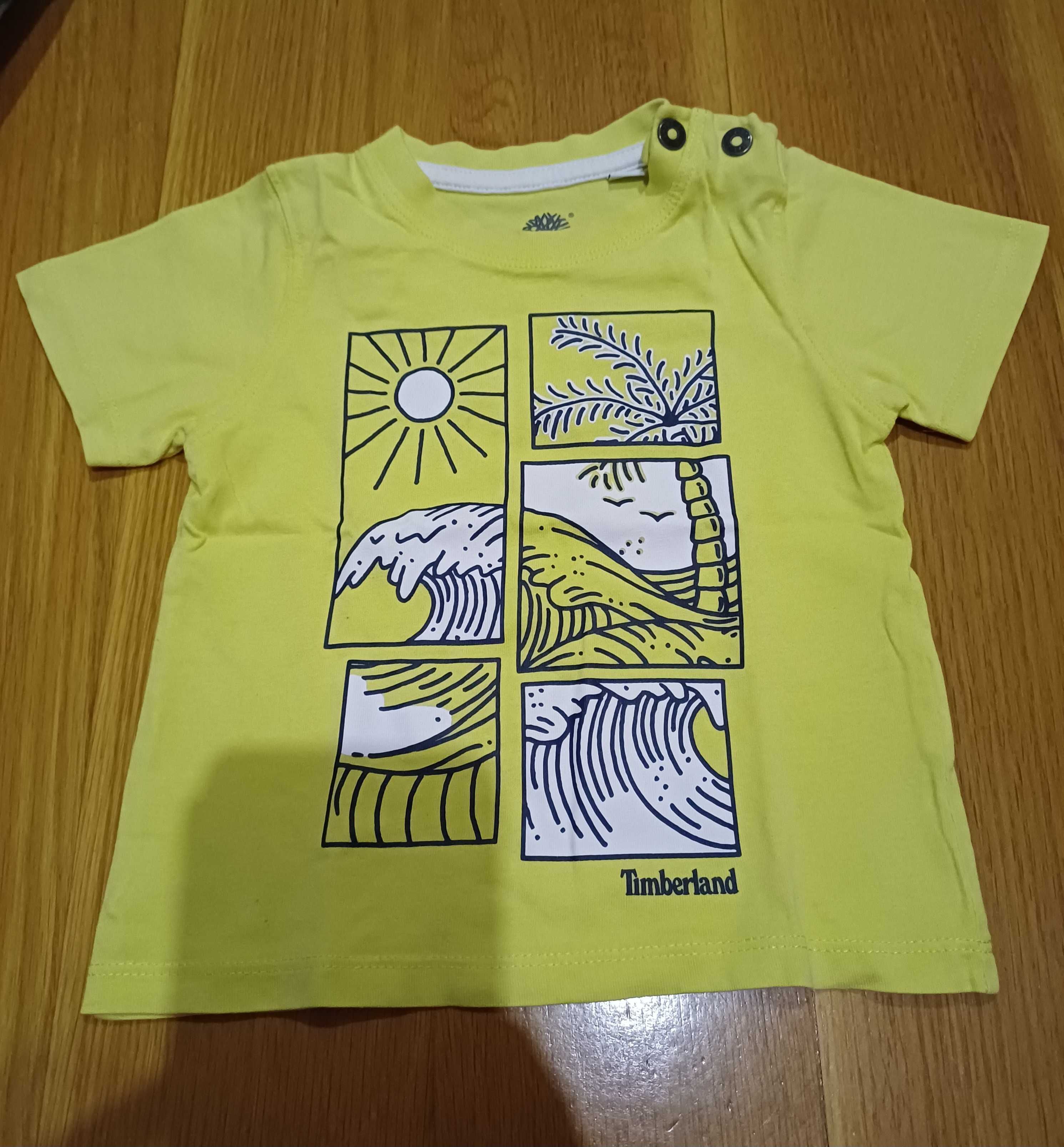 T-shirt da timberland para menino