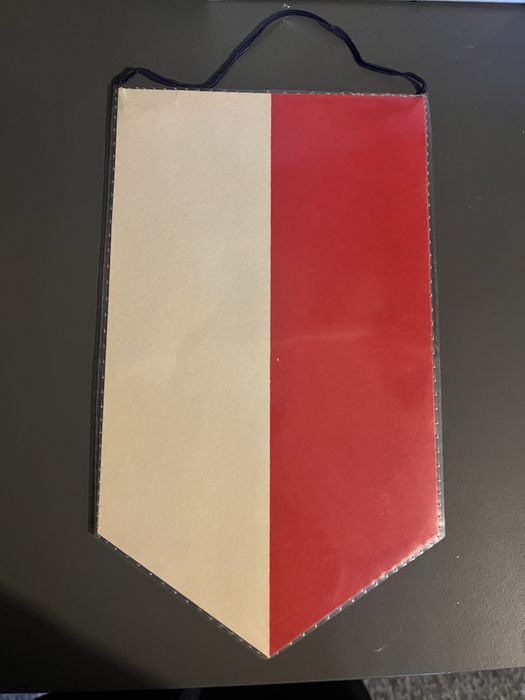 Proporczyk Ts Wisla Krakow