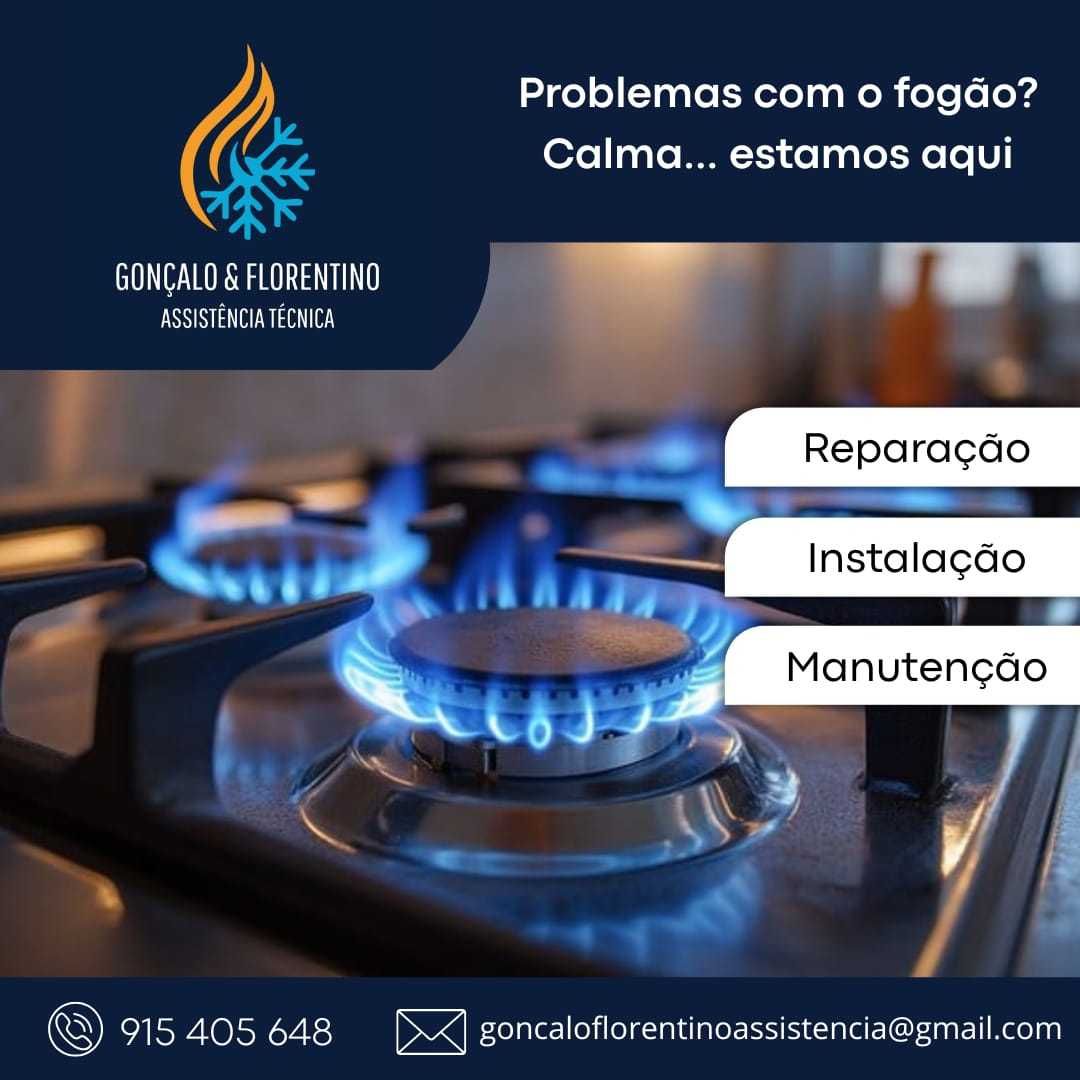 Gonçalo & Florentino Assistência Técnica