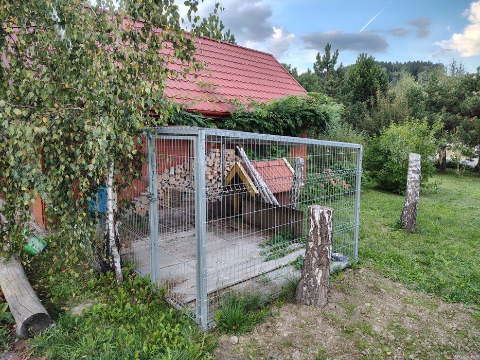 Kojec dla psa ocynkowany 165/180 × 250 × 300 cm