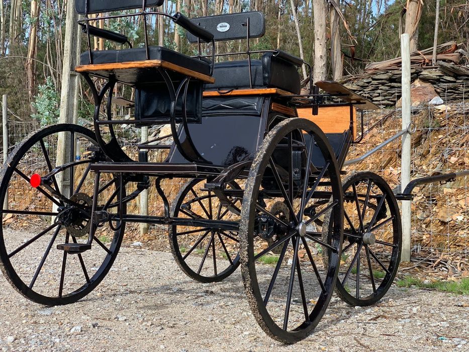 Charrete Spider Classsica