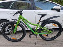 Rower scott roxter disc 24 cali - super stan