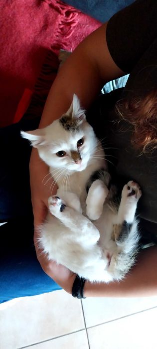 Dwupak miłości czeka na swój wspólny dom