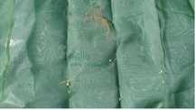 Siatka okrywowa rolnicza 10x12m 222g/m2