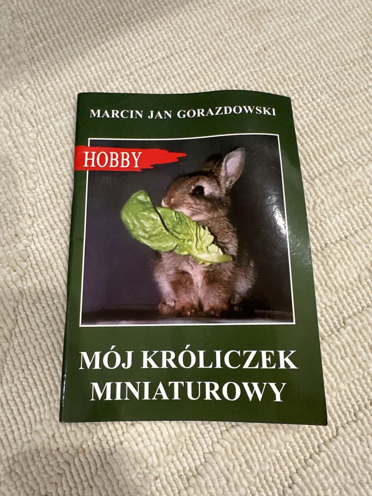 Mój króliczek miniaturowy