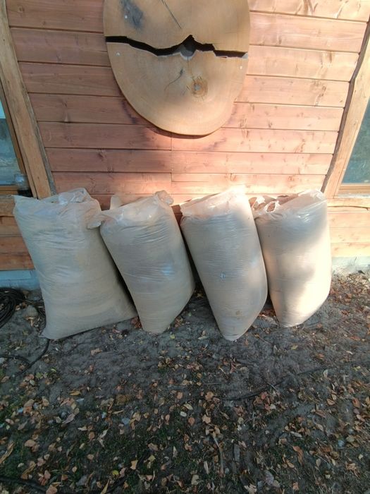 Wióry dębowe 10 procent wilgotności